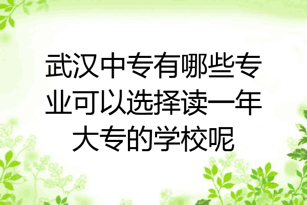 武汉中专有哪些专业可以选择读一年大专的学校呢