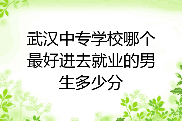 武汉中专学校哪个最好进去就业的男生多少分