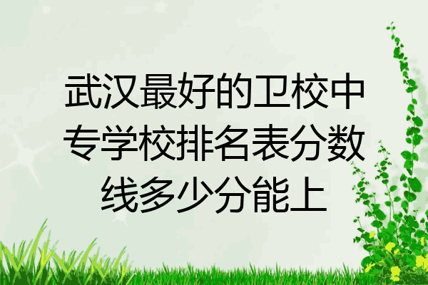 武汉最好的卫校中专学校排名表分数线多少分能上