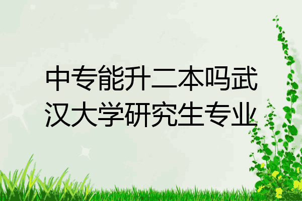 中专能升二本吗武汉大学研究生专业