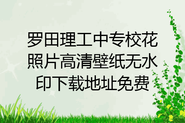 罗田理工中专校花照片高清壁纸无水印下载地址免费