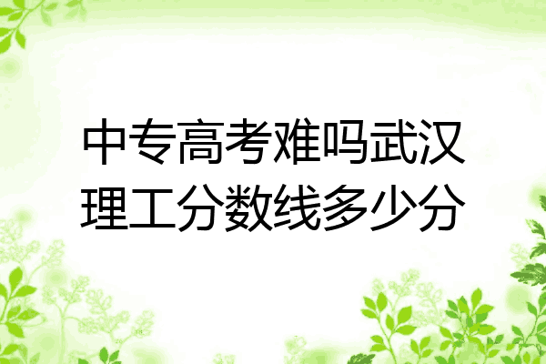 中专高考难吗武汉理工分数线多少分