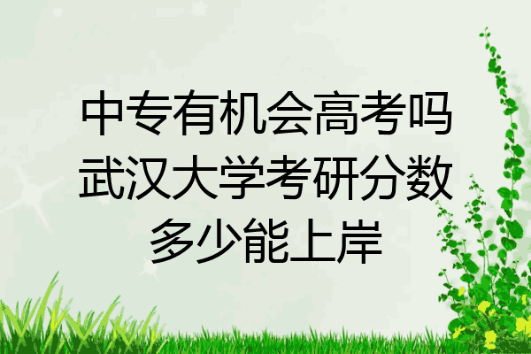 中专有机会高考吗武汉大学考研分数多少能上岸