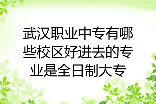 武汉职业中专有哪些校区好进去的专业是全日制大专
