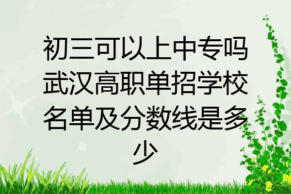 初三可以上中专吗武汉高职单招学校名单及分数线是多少