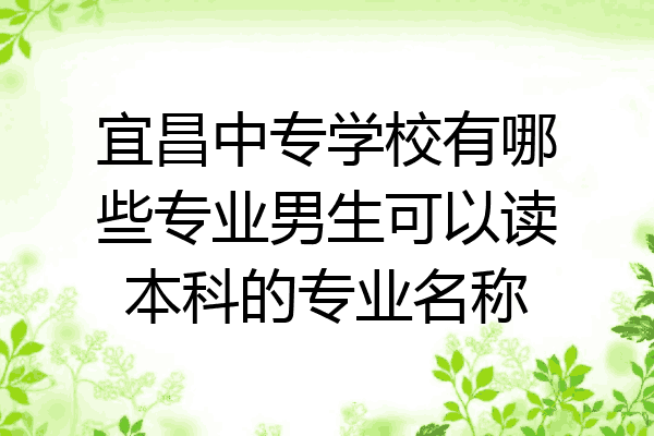 宜昌中专学校有哪些专业男生可以读本科的专业名称