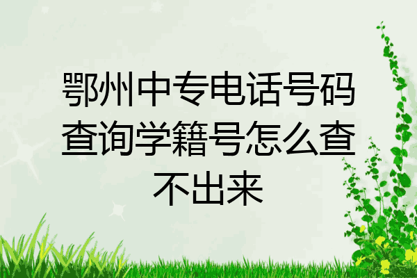 鄂州中专电话号码查询学籍号怎么查不出来