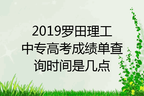 2019罗田理工中专高考成绩单查询时间是几点