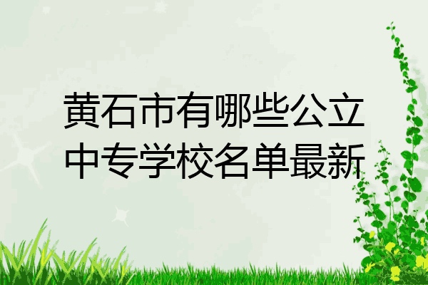 黄石市有哪些公立中专学校名单最新