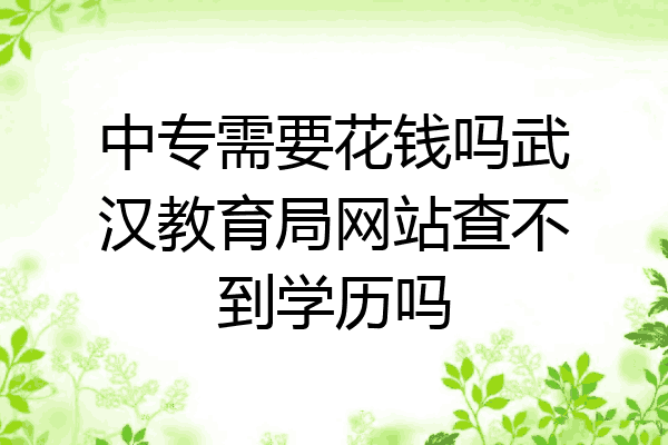 中专需要花钱吗武汉教育局网站查不到学历吗