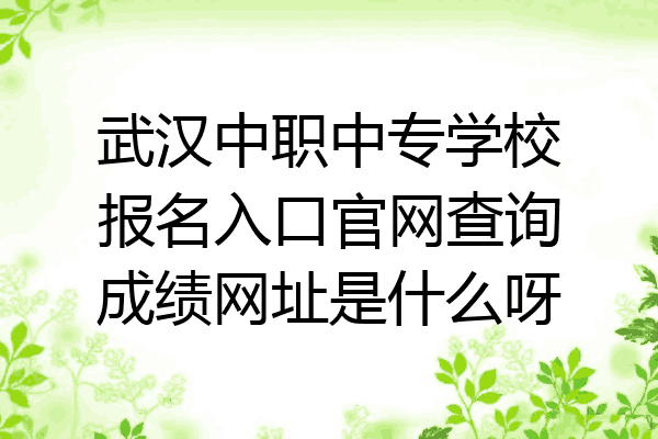 武汉中职中专学校报名入口官网查询成绩网址是什么呀
