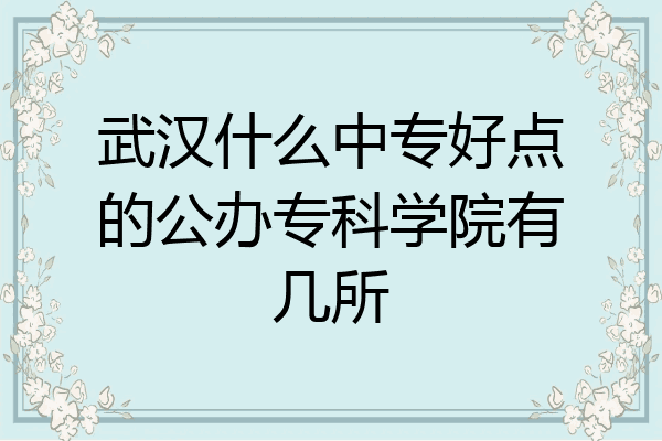 武汉什么中专好点的公办专科学院有几所
