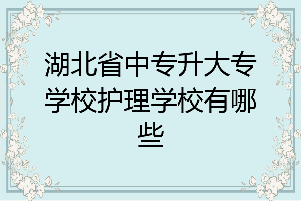 湖北省中专升大专学校护理学校有哪些