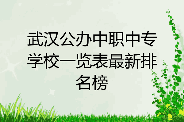 武汉公办中职中专学校一览表最新排名榜