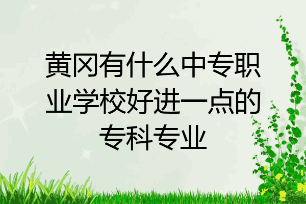 黄冈有什么中专职业学校好进一点的专科专业