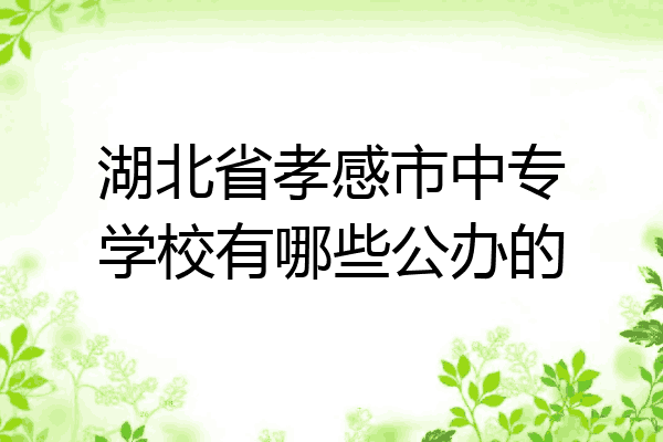 湖北省孝感市中专学校有哪些公办的