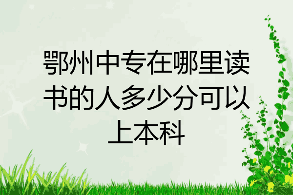 鄂州中专在哪里读书的人多少分可以上本科