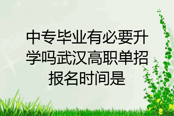 中专毕业有必要升学吗武汉高职单招报名时间是
