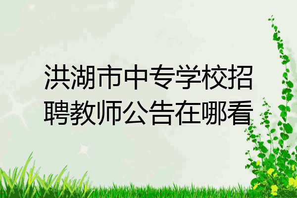 洪湖市中专学校招聘教师公告在哪看