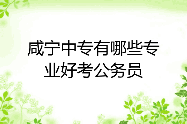 咸宁中专有哪些专业好考公务员