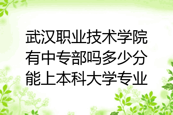 武汉职业技术学院有中专部吗多少分能上本科大学专业