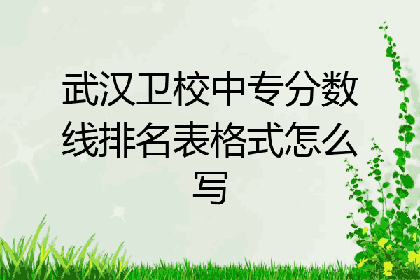 武汉卫校中专分数线排名表格式怎么写