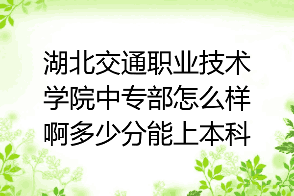 湖北交通职业技术学院中专部怎么样啊多少分能上本科