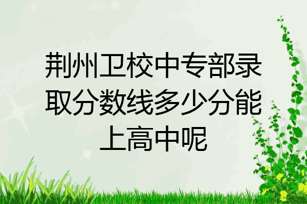 荆州卫校中专部录取分数线多少分能上高中呢