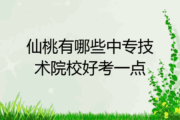 仙桃有哪些中专技术院校好考一点