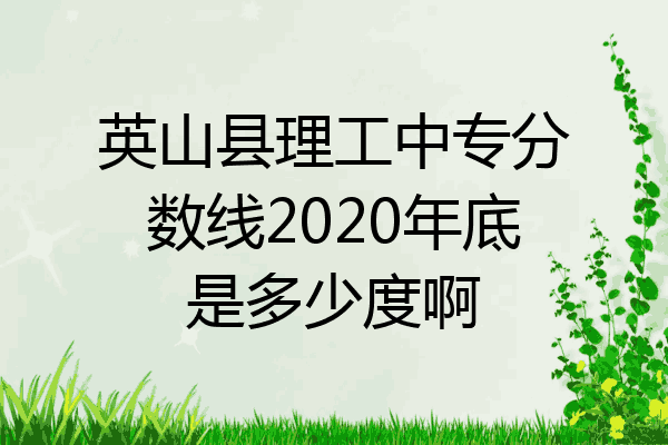英山县理工中专分数线2020年底是多少度啊