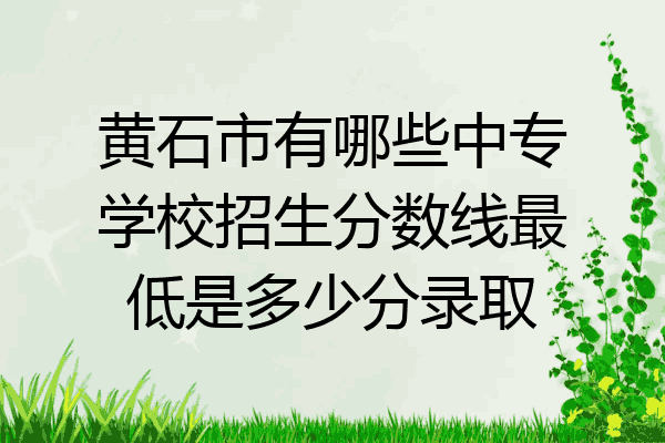 黄石市有哪些中专学校招生分数线最低是多少分录取
