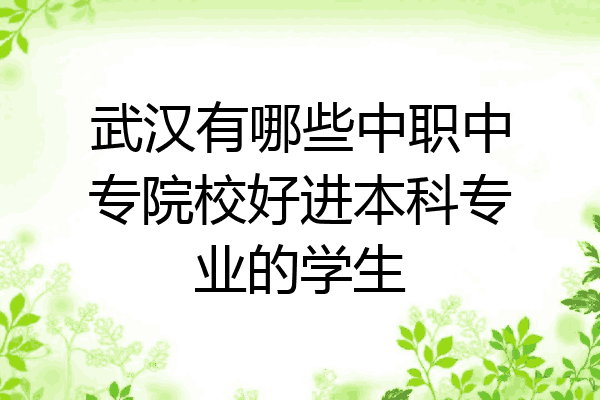 武汉有哪些中职中专院校好进本科专业的学生