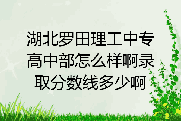 湖北罗田理工中专高中部怎么样啊录取分数线多少啊