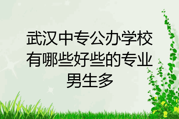 武汉中专公办学校有哪些好些的专业男生多