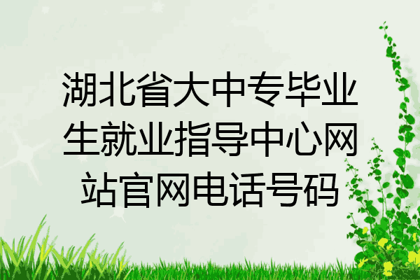 湖北省大中专毕业生就业指导中心网站官网电话号码