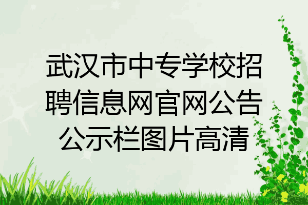 武汉市中专学校招聘信息网官网公告公示栏图片高清