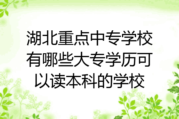 湖北重点中专学校有哪些大专学历可以读本科的学校