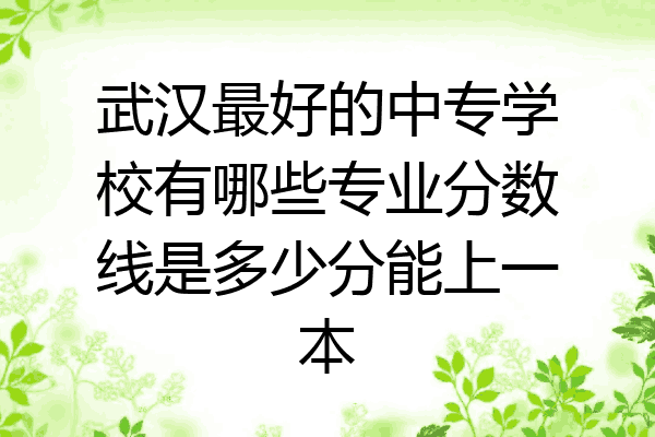武汉最好的中专学校有哪些专业分数线是多少分能上一本