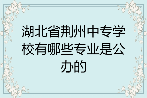湖北省荆州中专学校有哪些专业是公办的