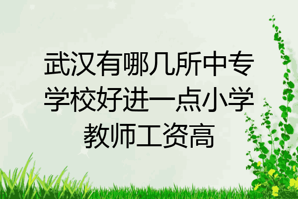 武汉有哪几所中专学校好进一点小学教师工资高