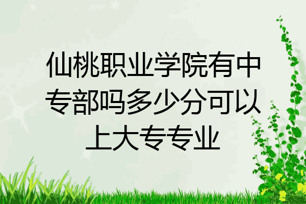 仙桃职业学院有中专部吗多少分可以上大专专业