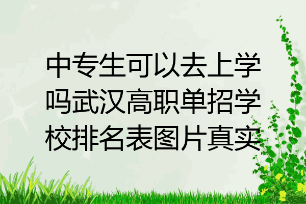 中专生可以去上学吗武汉高职单招学校排名表图片真实