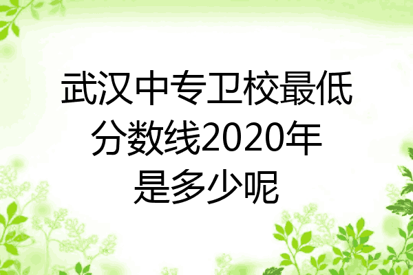 武汉中专卫校最低分数线2020年是多少呢