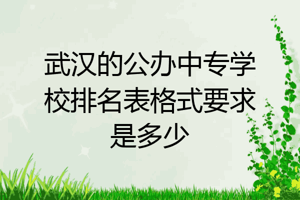 武汉的公办中专学校排名表格式要求是多少