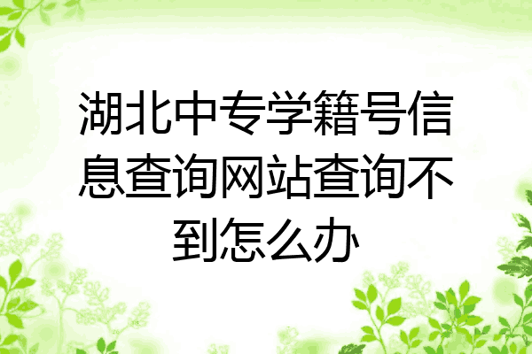 湖北中专学籍号信息查询网站查询不到怎么办