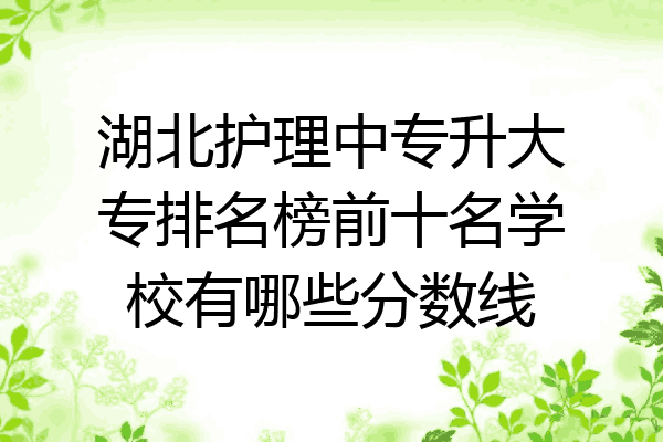 湖北护理中专升大专排名榜前十名学校有哪些分数线