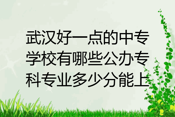 武汉好一点的中专学校有哪些公办专科专业多少分能上