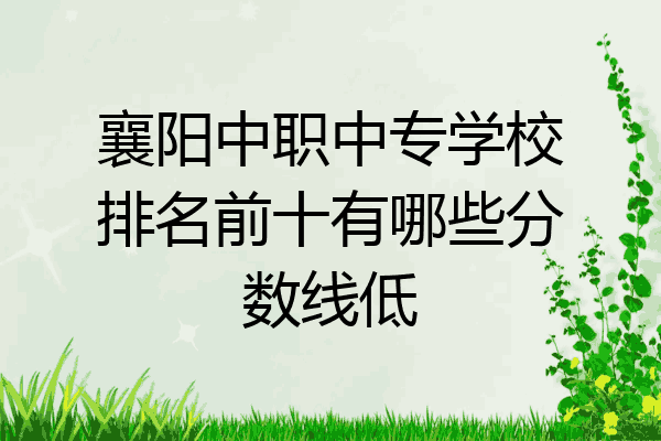 襄阳中职中专学校排名前十有哪些分数线低