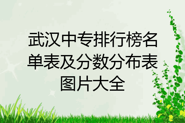 武汉中专排行榜名单表及分数分布表图片大全