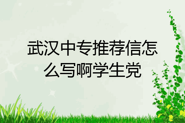 武汉中专推荐信怎么写啊学生党